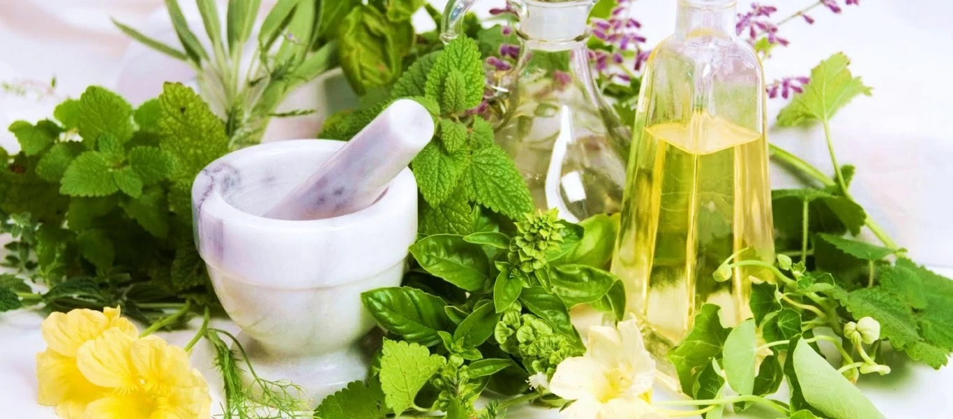 Θέλετε να τονώσετε τη μνήμη σας; - Αυτά είναι τα βότανα που θα σας βοηθήσουν